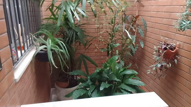 2365 Sobrado em Osasco, Km 18, excelente local, 157,50m²